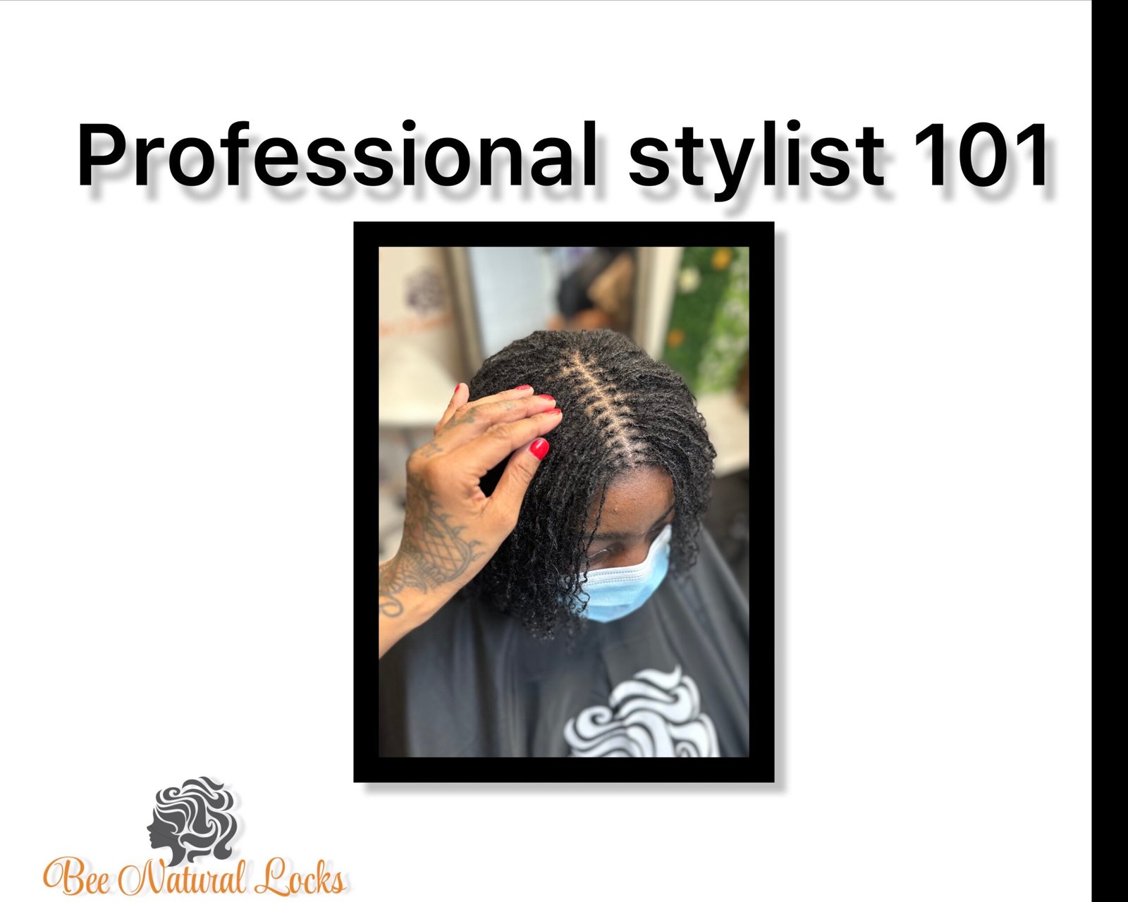 Professional stylist 101